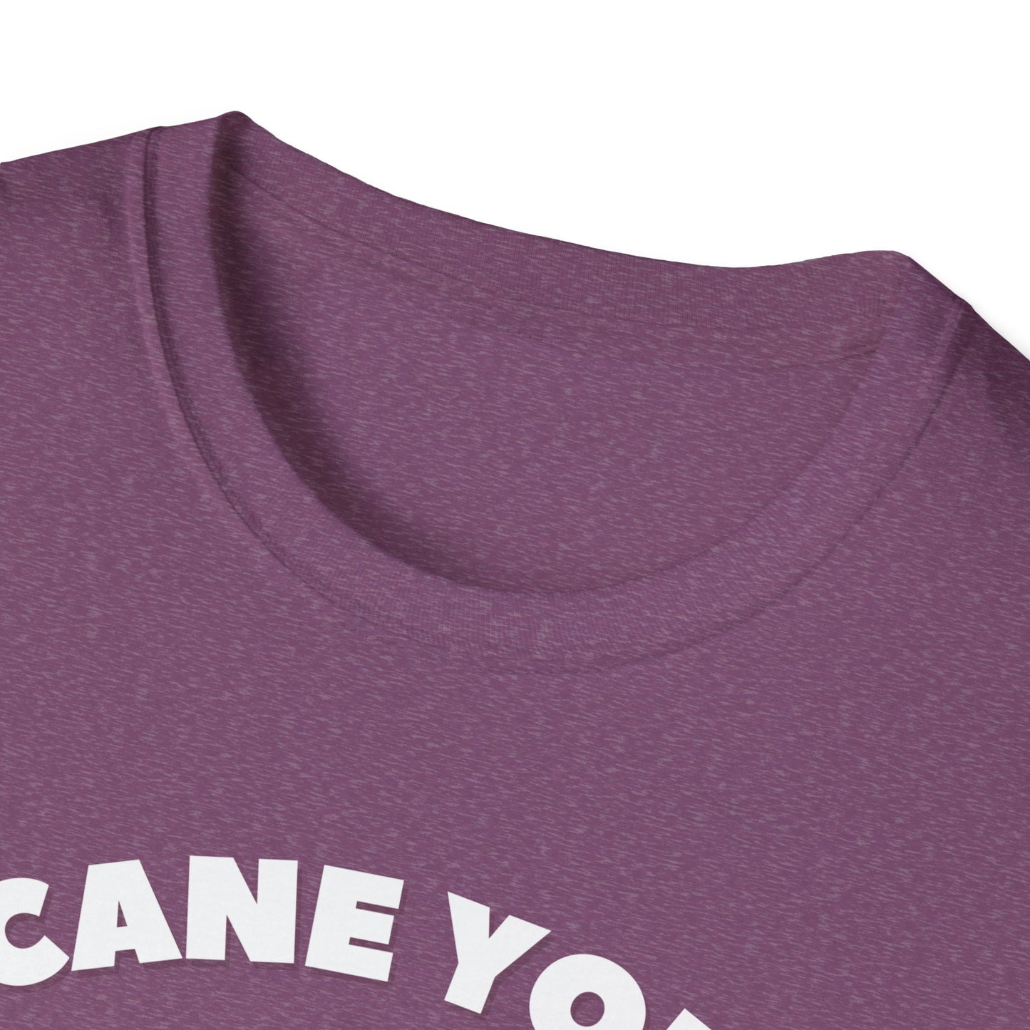 Cane You Handle This Fox T-Shirt | Mobility Aid Awareness Tee | Spoonie Haven Apparel