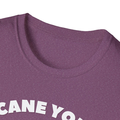 Cane You Handle This Fox T-Shirt | Mobility Aid Awareness Tee | Spoonie Haven Apparel