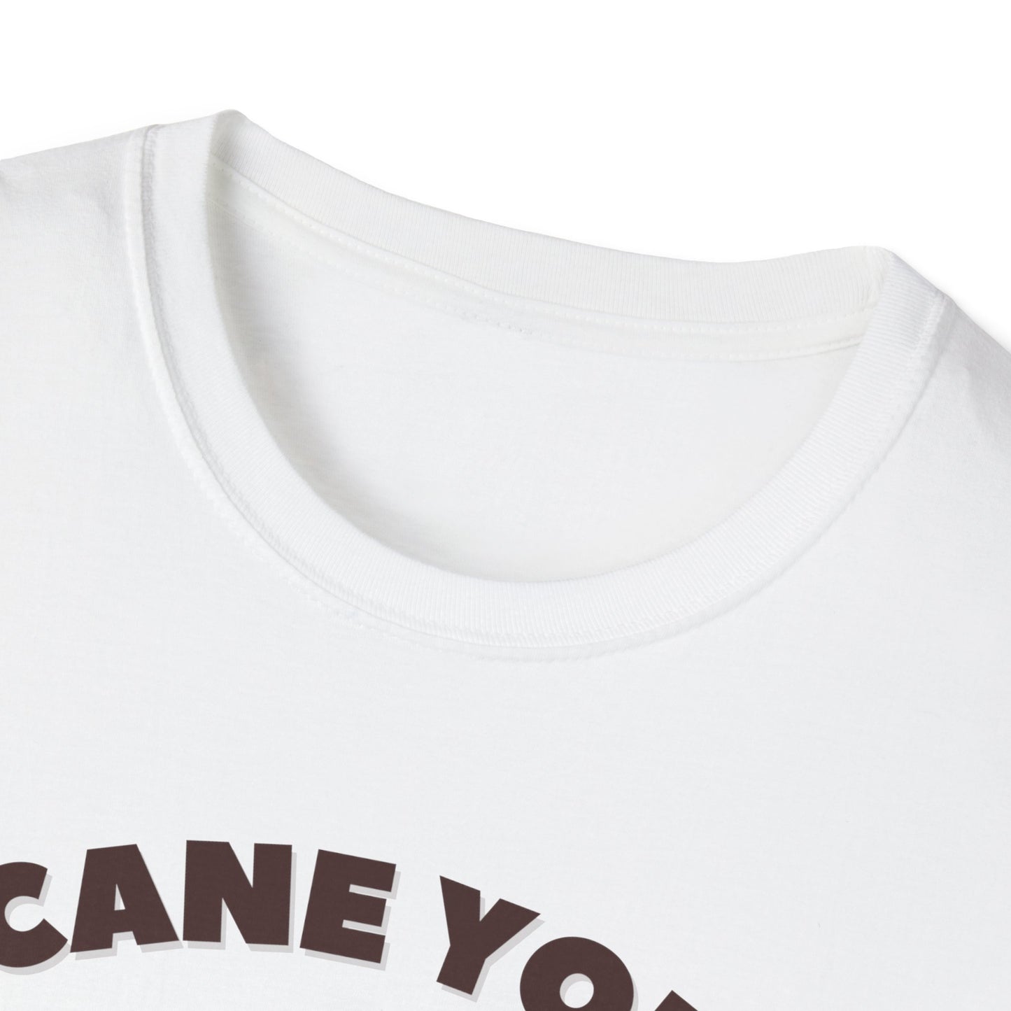 Cane You Handle This Fox T-Shirt | Mobility Aid Awareness Tee | Spoonie Haven Apparel