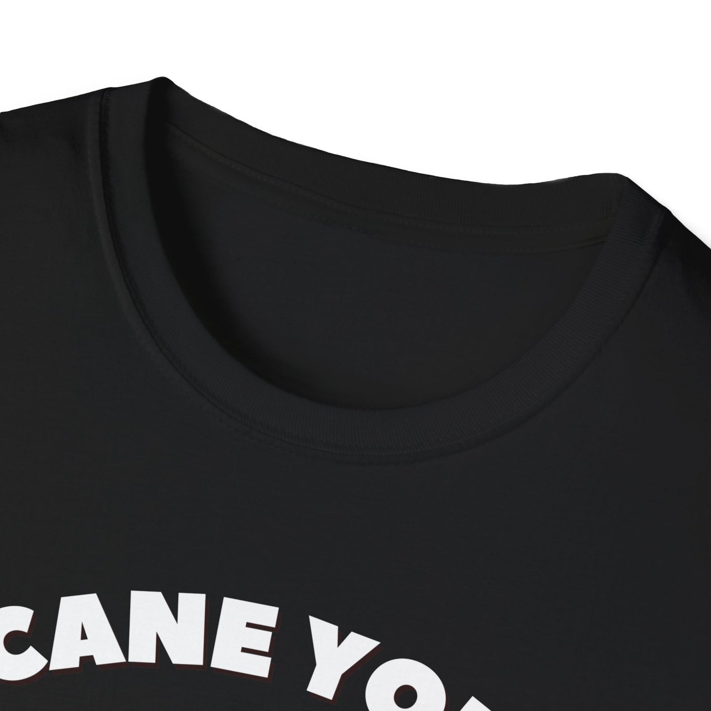 Cane You Handle This Fox T-Shirt | Mobility Aid Awareness Tee | Spoonie Haven Apparel