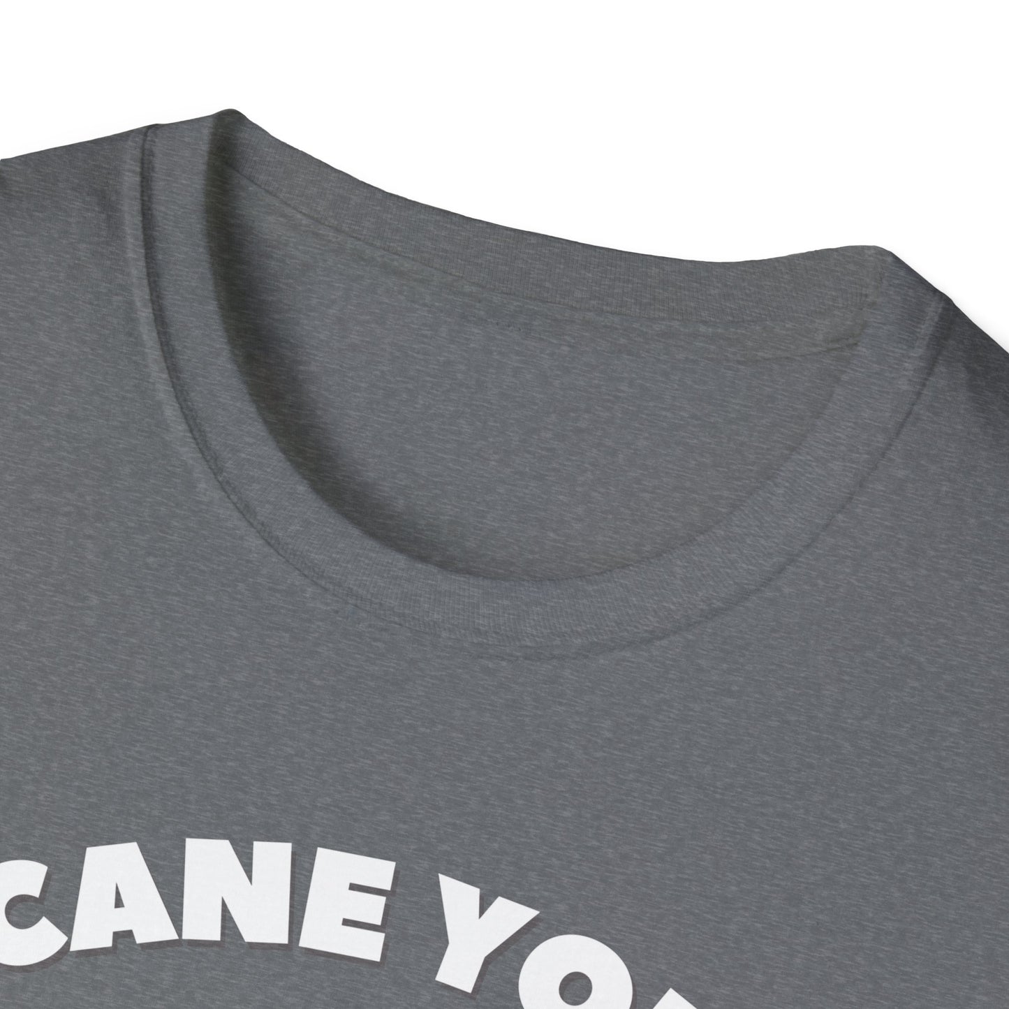 Cane You Handle This Fox T-Shirt | Mobility Aid Awareness Tee | Spoonie Haven Apparel