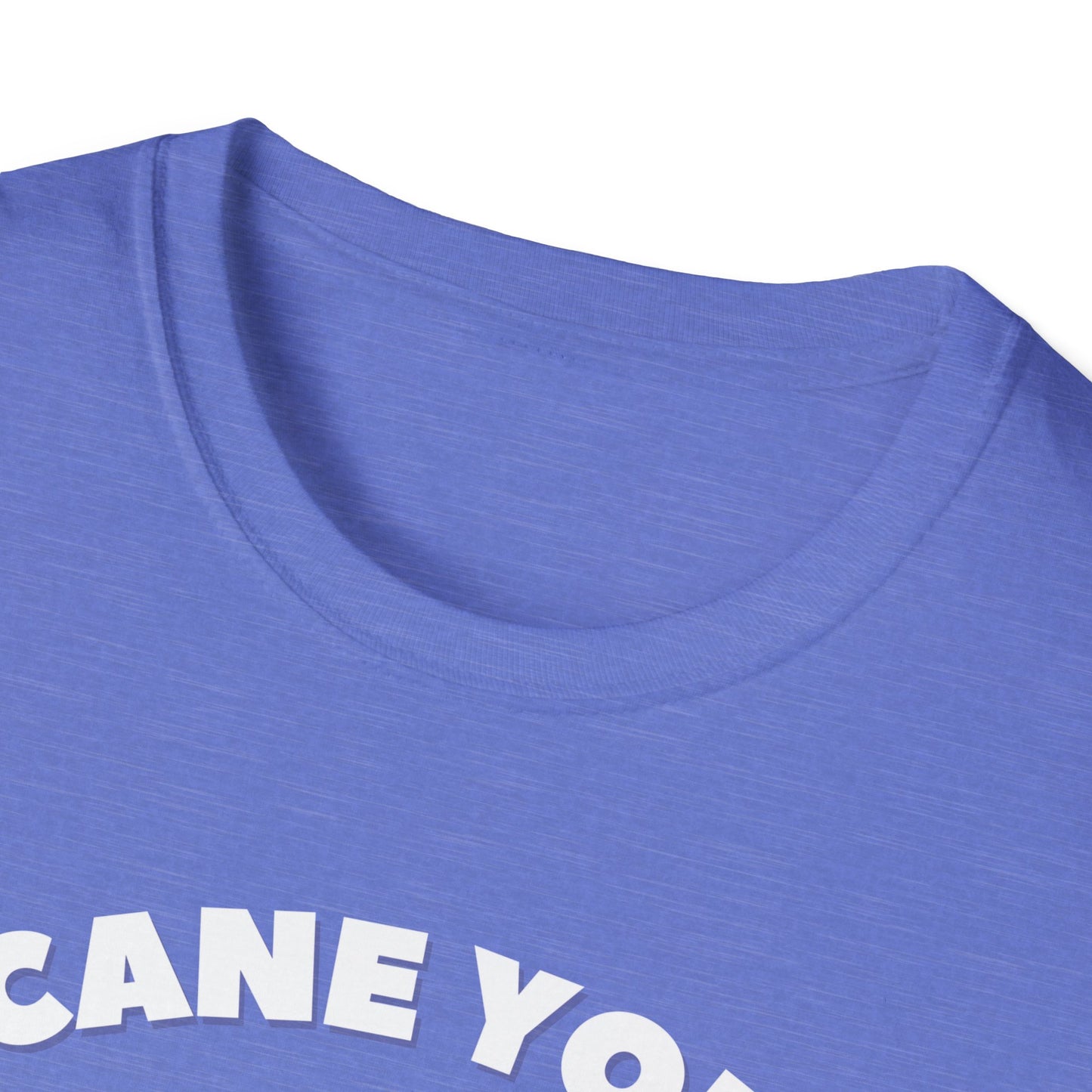 Cane You Handle This Fox T-Shirt | Mobility Aid Awareness Tee | Spoonie Haven Apparel